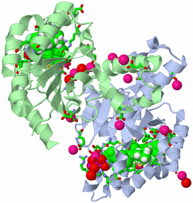 Image Asym./Biol. Unit - sites