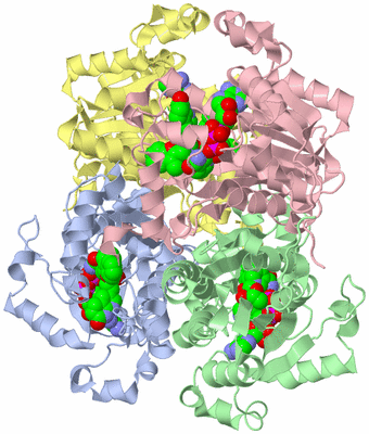 Image Biological Unit 1