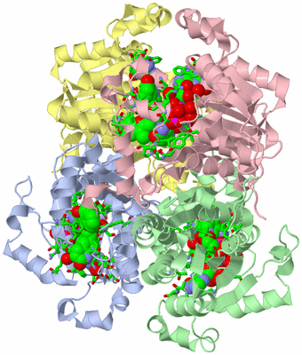 Image Biol. Unit 1 - sites