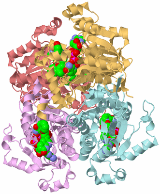 Image Biological Unit 2