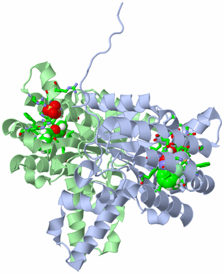 Image Asym./Biol. Unit - sites