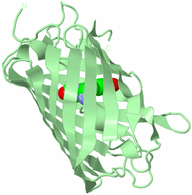 Image Biological Unit 2