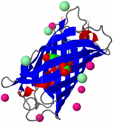 Image Asym./Biol. Unit