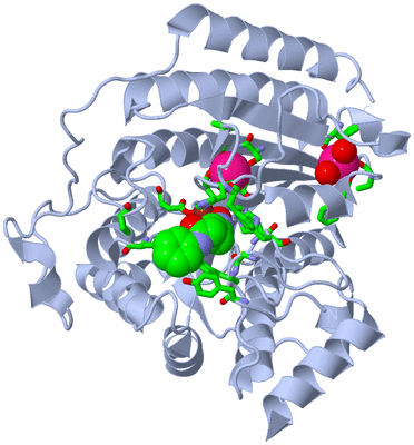 Image Biol. Unit 1 - sites