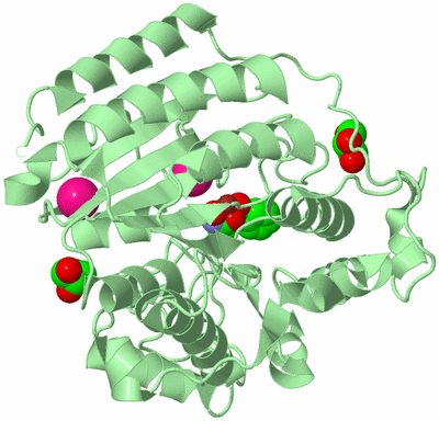 Image Biological Unit 2