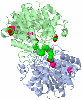 Image Biological Unit 3