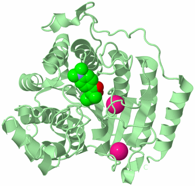 Image Biological Unit 2