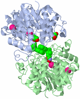 Image Biological Unit 3