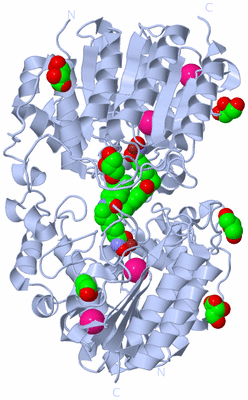 Image Biological Unit 2