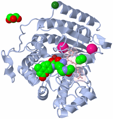 Image Biological Unit 1