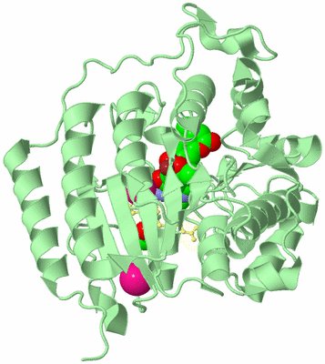 Image Biological Unit 2