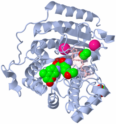 Image Biological Unit 1