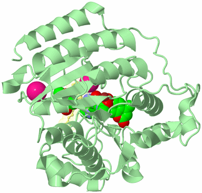 Image Biological Unit 2