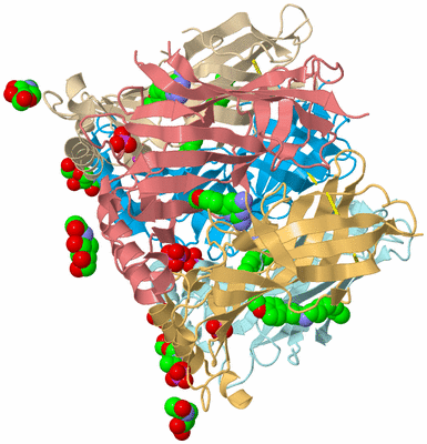 Image Biological Unit 2