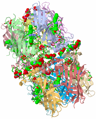 Image Asym. Unit - sites