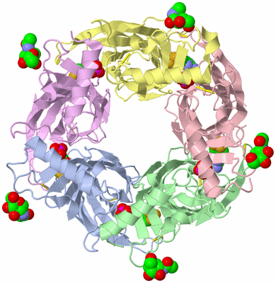 Image Biological Unit 1