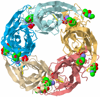 Image Biological Unit 2