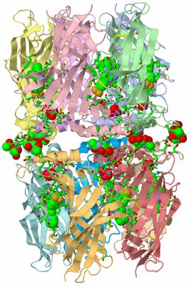 Image Asym. Unit - sites