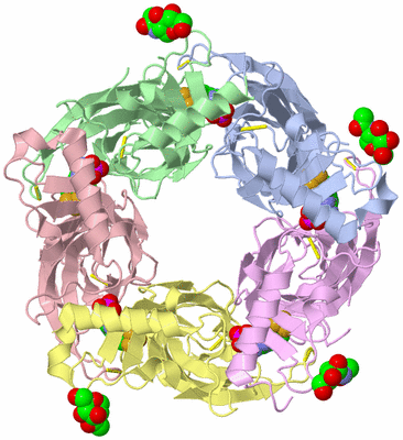 Image Biological Unit 1