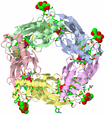 Image Biol. Unit 1 - sites