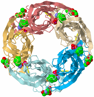 Image Biological Unit 2