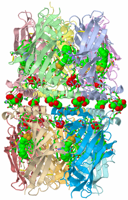 Image Asym. Unit - sites