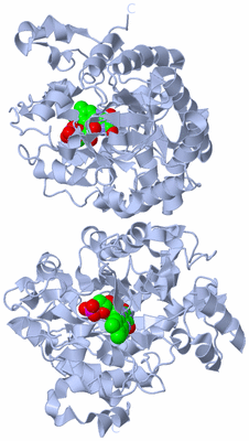 Image Biological Unit 1