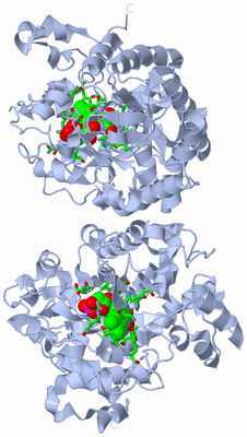 Image Biol. Unit 1 - sites