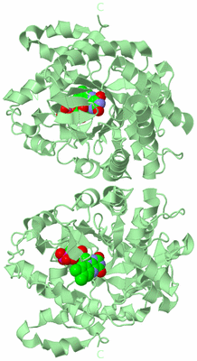 Image Biological Unit 2