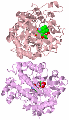 Image Biological Unit 3