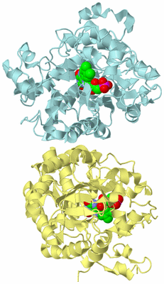 Image Biological Unit 4