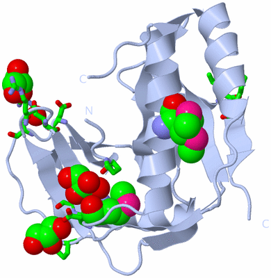 Image Biol. Unit 1 - sites