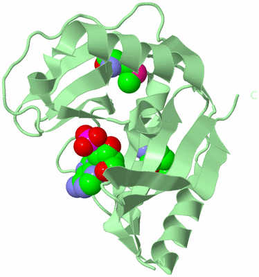 Image Biological Unit 2