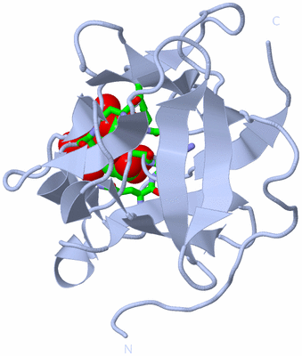 Image Biol. Unit 1 - sites