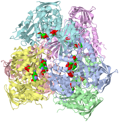 Image Asym./Biol. Unit