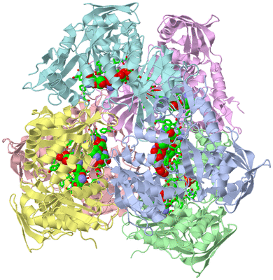 Image Asym./Biol. Unit - sites