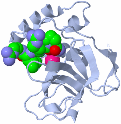 Image Biological Unit 1