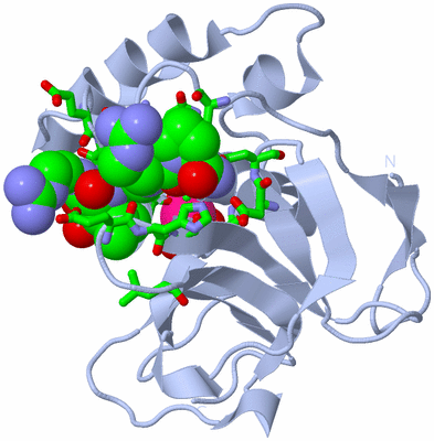 Image Biol. Unit 1 - sites