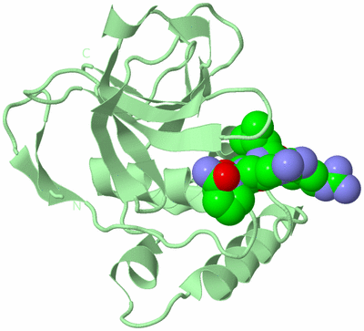 Image Biological Unit 2