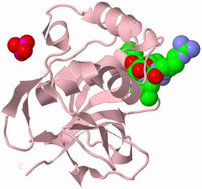 Image Biological Unit 3