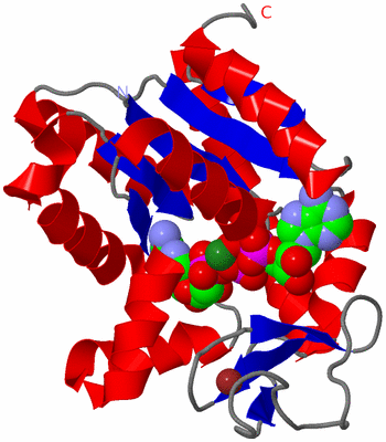 Image Asym./Biol. Unit