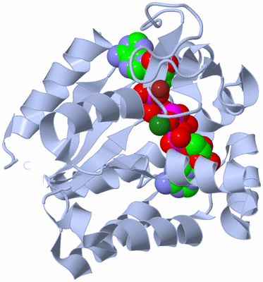 Image Biological Unit 1