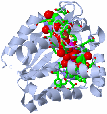 Image Biol. Unit 1 - sites