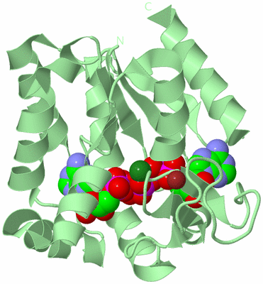 Image Biological Unit 2