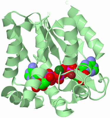 Image Biological Unit 2