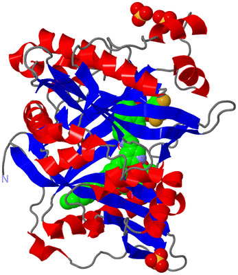 Image Asym./Biol. Unit