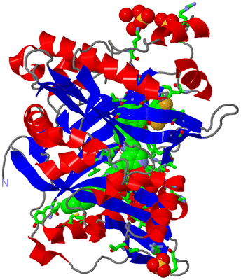 Image Asym./Biol. Unit - sites