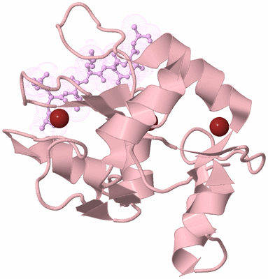 Image Biological Unit 2