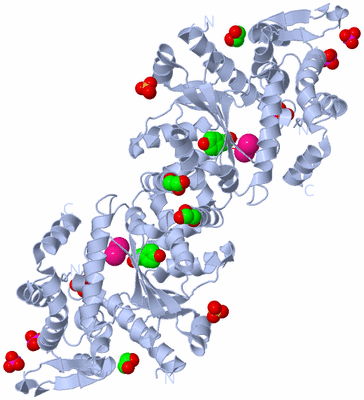 Image Biological Unit 1