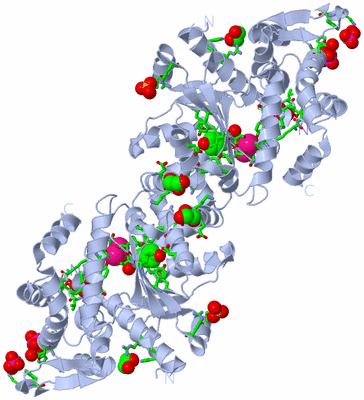 Image Biol. Unit 1 - sites